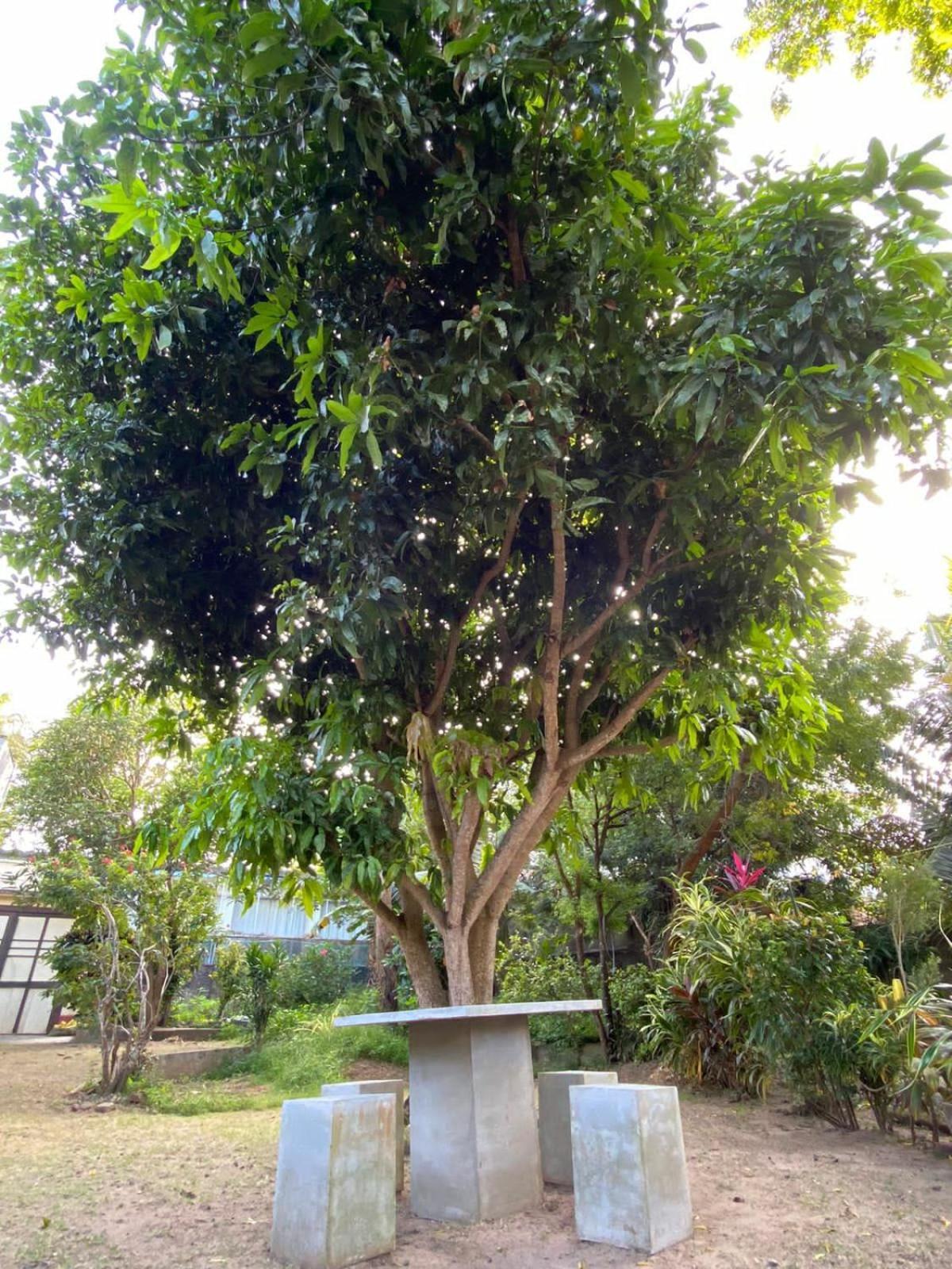 Sujatha Villa Paradise Tangalle Bagian luar foto
