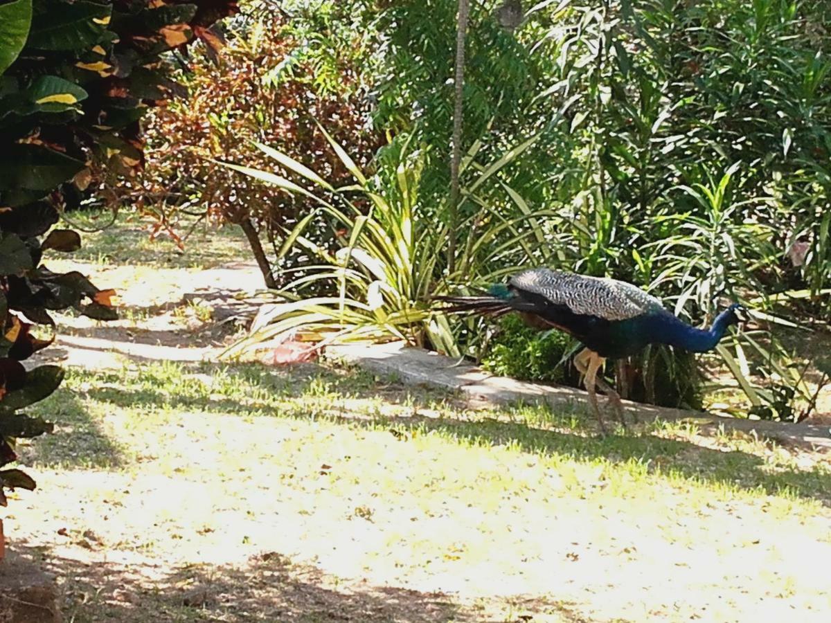 Sujatha Villa Paradise Tangalle Bagian luar foto
